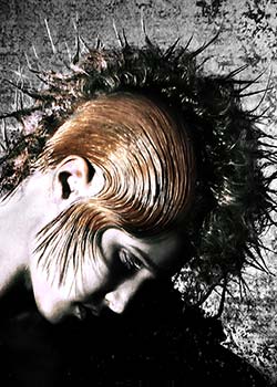 © SANDOR SZEL - SASA ART, FIGARO TEAM HAIR COLLECTION