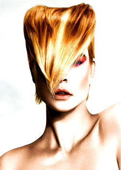 © Gary Taylor - Edward & Co hairdressers HAIR COLLECTION