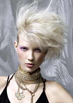 © ALAN D HAIRDRESSING HAIR COLLECTION